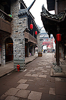 cau bạch thu