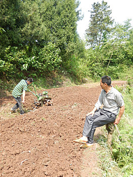 dự đoán xổ số bình định
