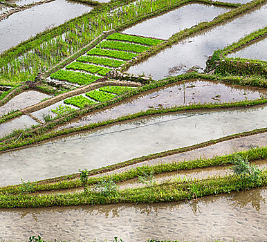 lô đề hôm qua