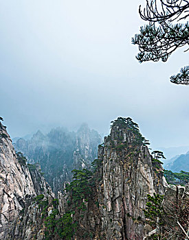 bạch thu mb