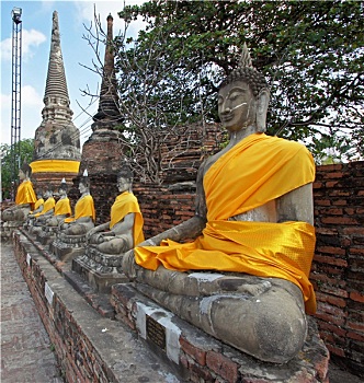 soi cau rong bach kim mien phi chinh xac