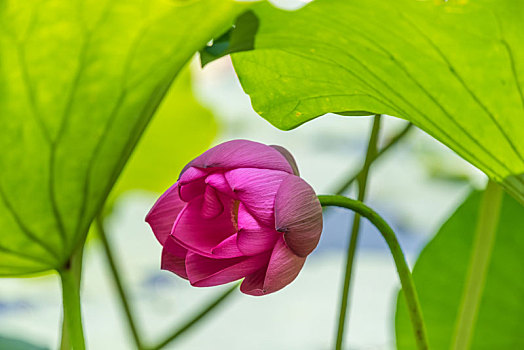 thống kê lô theo ngày