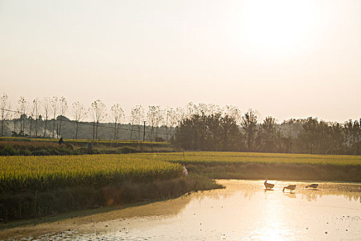 lo kep khung 3 ngay mien phi