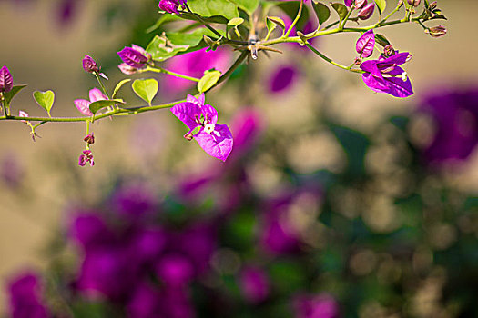hướng dẫn đánh đề miền bắc