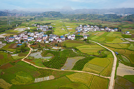 soi cau chuan 888