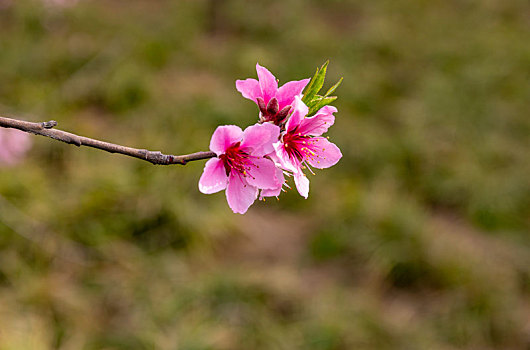 soi cầu lô đề miền bắc