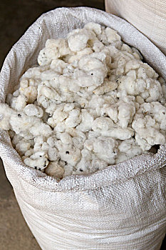 soi cầu miễn phí miền bắc
