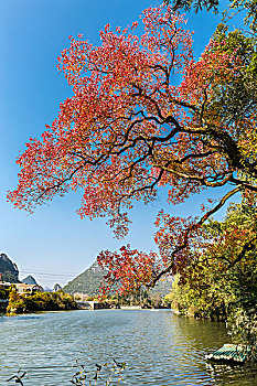 soi cau chuan mjsa