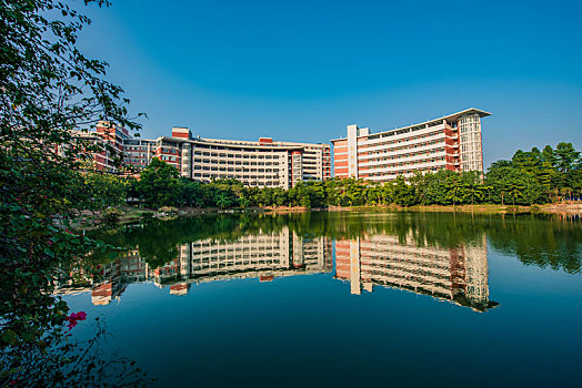 cầu lô đề miền bắc