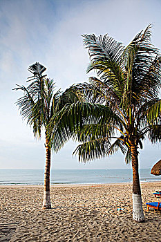 dự đoán xổ số trà vinh hôm nay