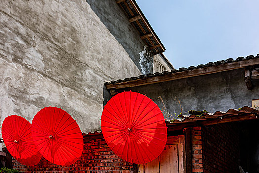đánh số đề trên mạng
