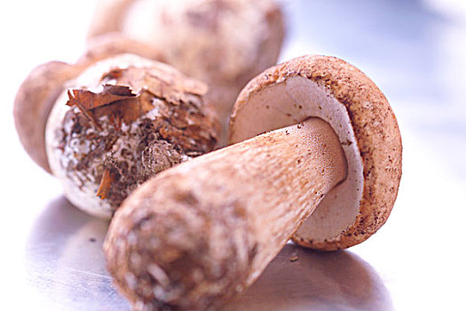 thống kê xổ số miền nam